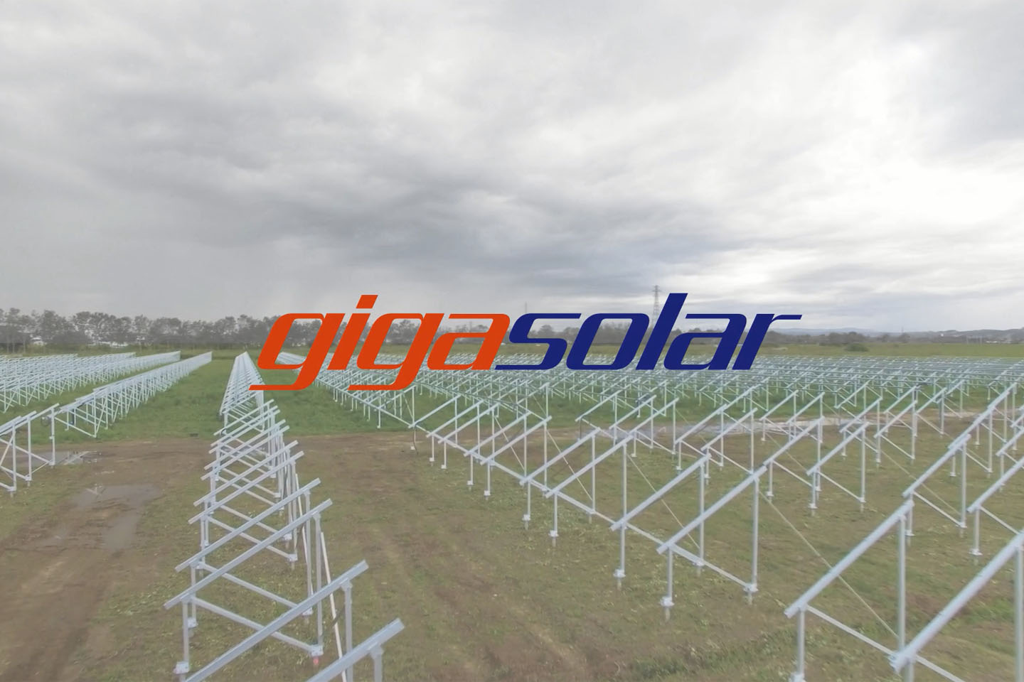 Case Study: Solar Panel Farm Grass Maintenance